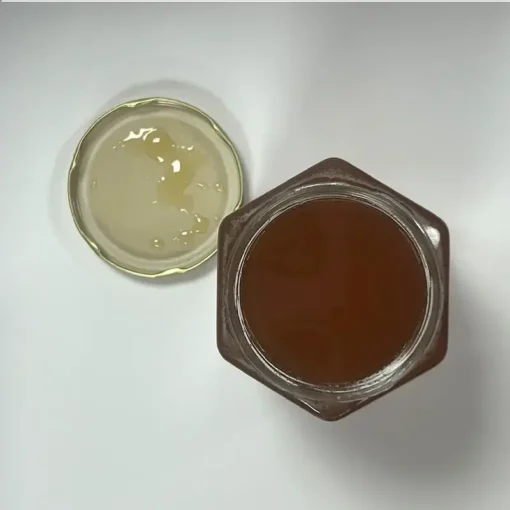 Pot de miel de thym ouvert vu du dessus avec son couvercle, sur fond blanc.