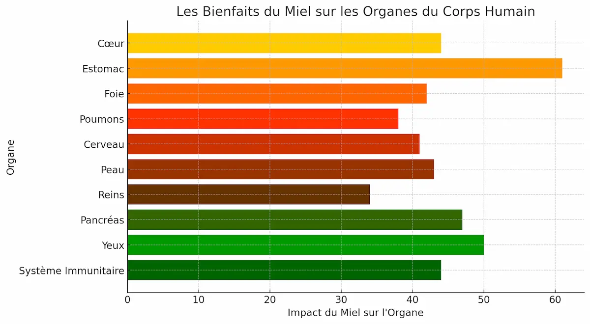 Infographie illustrant les bienfaits du miel sur les organes du corps humain : cœur, estomac, foie, poumons, cerveau, peau, reins, pancréas, yeux et système immunitaire.